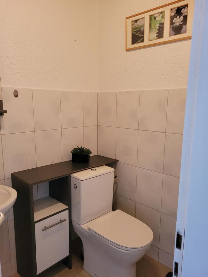 Business Apartment In Rheinfelden Rheinfelden  Bagian luar foto